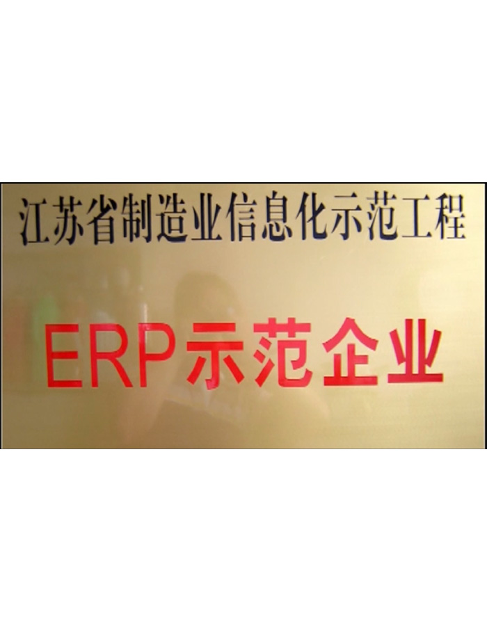 ERP示范企业